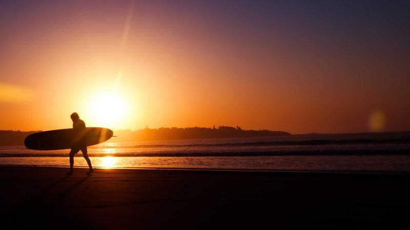 Ֆոկուսի Որոնում