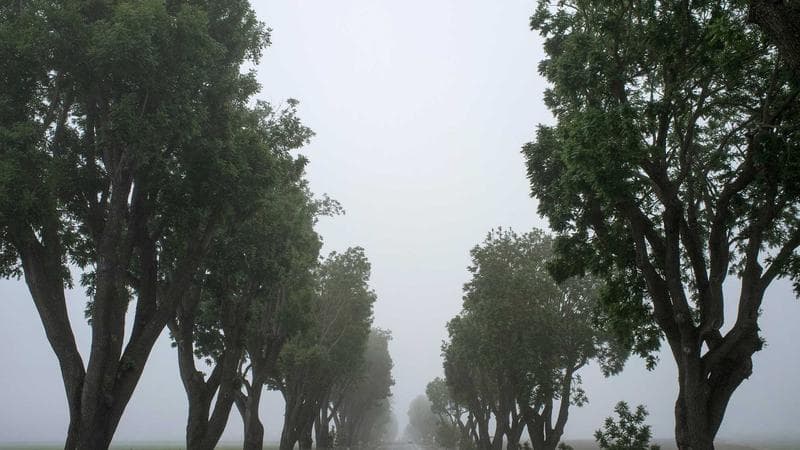 Սուդոկու Լայթ