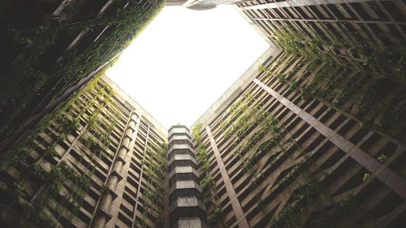 Բառերի Որոնում