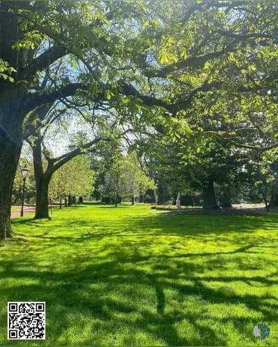 Հանգիստ կանաչապատում. Ինչպես են այգիներն ու բնությունը օգնում ձեզ հանգստանալ | Իմացեք, թե ինչպես կարող են հանգիստ այգիները, արևի լույսը և կանաչ ծառերը օգնել նվազեցնել սթրեսը, բարելավել տրամադրությունը և վերադարձնել հանգստությունը ձեր առօրյա կյանք։