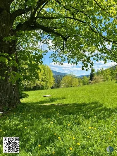 Արևոտ մարգագետիններ - Բաց կանաչ լանդշաֆտների գեղեցկությունը | Բացահայտեք խաղաղ մարգագետիններ, ծաղկող դաշտեր և անտառային արահետներ, որոնք խաղաղություն, ոգեշնչում և հարմարավետություն են բերում յուրաքանչյուր զբոսանքի: