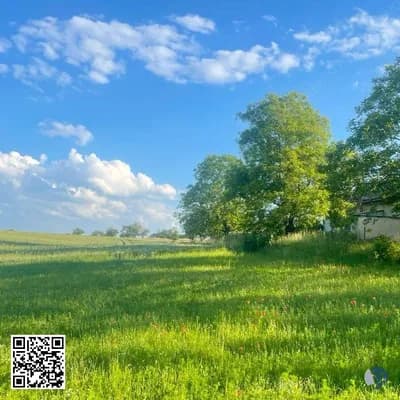 Արևոտ մարգագետնային արկածներ. Բաց կանաչ լանդշաֆտների գեղեցկությունը | Զննեք խաղաղ մարգագետինները, ծաղիկներով լի դաշտերը և անտառային արահետները, որոնք թարմացնում են միտքը, ոգեշնչում հանգստություն և լուսավորում յուրաքանչյուր բացօթյա զբոսանքը